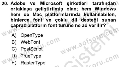 Web Grafik Tasarımı Dersi 2025 - 2026 Yılı (Vize) Ara Sınav Soruları 20. Soru