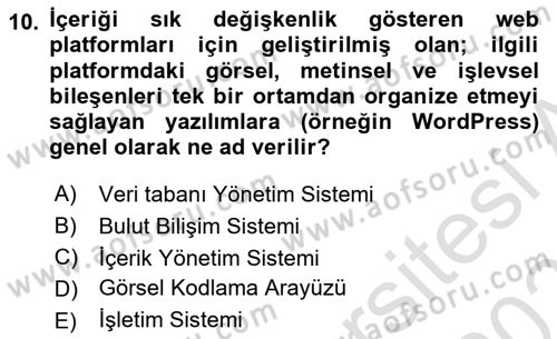 Web Grafik Tasarımı Dersi 2025 - 2026 Yılı (Final) Dönem Sonu Sınav Soruları 10. Soru