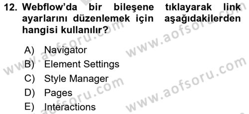 Web Grafik Tasarımı Dersi 2025 - 2026 Yılı (Final) Dönem Sonu Sınav Soruları 12. Soru