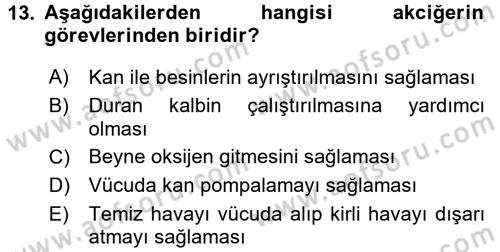 Bakım Elemanı Yetiştirme Ve Geliştirme 1 Dersi 2016 - 2017 Yılı (Final) Dönem Sonu Sınav Soruları 13. Soru