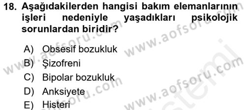 Bakım Elemanı Yetiştirme Ve Geliştirme 1 Dersi 2016 - 2017 Yılı (Final) Dönem Sonu Sınav Soruları 18. Soru
