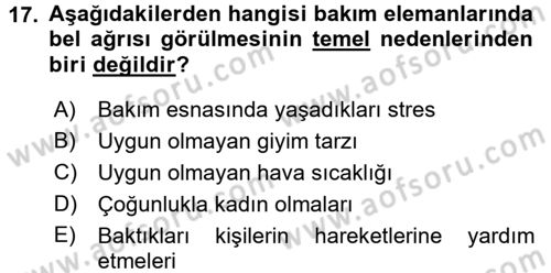 Bakım Elemanı Yetiştirme Ve Geliştirme 1 Dersi 2017 - 2018 Yılı (Final) Dönem Sonu Sınav Soruları 17. Soru