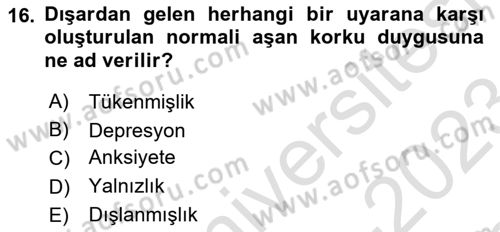 Bakım Elemanı Yetiştirme Ve Geliştirme 1 Dersi 2022 - 2023 Yılı (Final) Dönem Sonu Sınavı 16. Soru