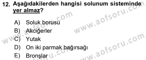 Bakım Elemanı Yetiştirme Ve Geliştirme 2 Dersi 2015 - 2016 Yılı (Vize) Ara Sınav Soruları 12. Soru