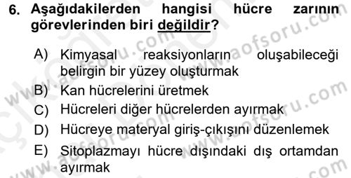 Bakım Elemanı Yetiştirme Ve Geliştirme 2 Dersi 2015 - 2016 Yılı (Vize) Ara Sınav Soruları 6. Soru