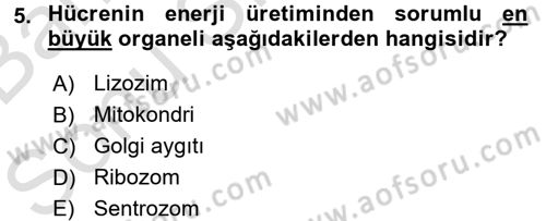 Bakım Elemanı Yetiştirme Ve Geliştirme 2 Dersi 2015 - 2016 Yılı (Final) Dönem Sonu Sınav Soruları 5. Soru