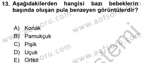 Bakım Elemanı Yetiştirme Ve Geliştirme 2 Dersi 2016 - 2017 Yılı (Vize) Ara Sınav Soruları 13. Soru