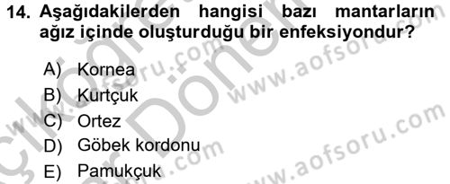 Bakım Elemanı Yetiştirme Ve Geliştirme 2 Dersi 2016 - 2017 Yılı (Vize) Ara Sınav Soruları 14. Soru