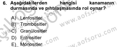 Bakım Elemanı Yetiştirme Ve Geliştirme 2 Dersi 2016 - 2017 Yılı (Vize) Ara Sınav Soruları 6. Soru