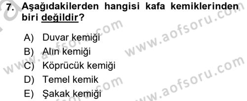 Bakım Elemanı Yetiştirme Ve Geliştirme 2 Dersi 2016 - 2017 Yılı (Vize) Ara Sınav Soruları 7. Soru