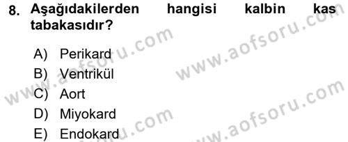 Bakım Elemanı Yetiştirme Ve Geliştirme 2 Dersi 2016 - 2017 Yılı (Vize) Ara Sınav Soruları 8. Soru
