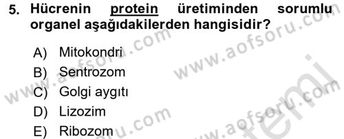 Bakım Elemanı Yetiştirme Ve Geliştirme 2 Dersi 2016 - 2017 Yılı (Final) Dönem Sonu Sınav Soruları 5. Soru