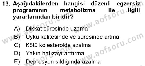 Bakım Elemanı Yetiştirme Ve Geliştirme 2 Dersi 2017 - 2018 Yılı (Final) Dönem Sonu Sınav Soruları 13. Soru