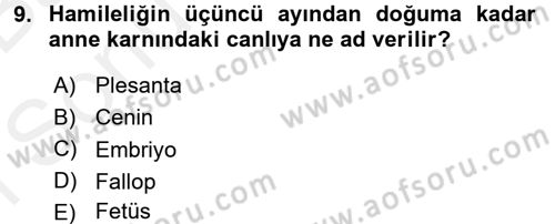 Bakım Elemanı Yetiştirme Ve Geliştirme 2 Dersi 2017 - 2018 Yılı (Final) Dönem Sonu Sınav Soruları 9. Soru