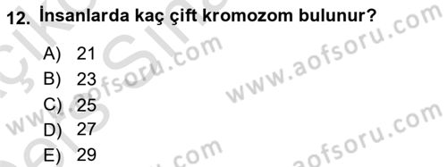Bakım Elemanı Yetiştirme Ve Geliştirme 2 Dersi 2018 - 2019 Yılı 3 Ders Sınav Soruları 12. Soru