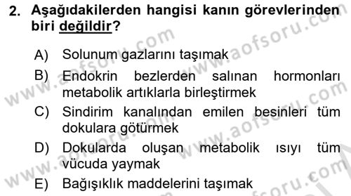 Bakım Elemanı Yetiştirme Ve Geliştirme 2 Dersi 2018 - 2019 Yılı 3 Ders Sınav Soruları 2. Soru