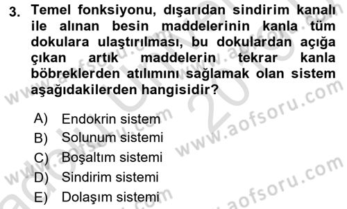Bakım Elemanı Yetiştirme Ve Geliştirme 2 Dersi 2018 - 2019 Yılı 3 Ders Sınav Soruları 3. Soru