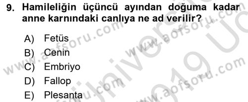 Bakım Elemanı Yetiştirme Ve Geliştirme 2 Dersi 2018 - 2019 Yılı 3 Ders Sınav Soruları 9. Soru