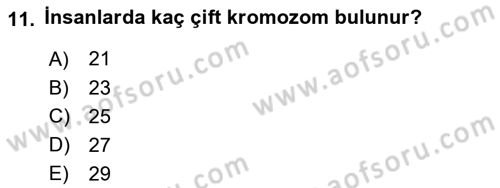 Bakım Elemanı Yetiştirme Ve Geliştirme 2 Dersi 2018 - 2019 Yılı (Final) Dönem Sonu Sınav Soruları 11. Soru