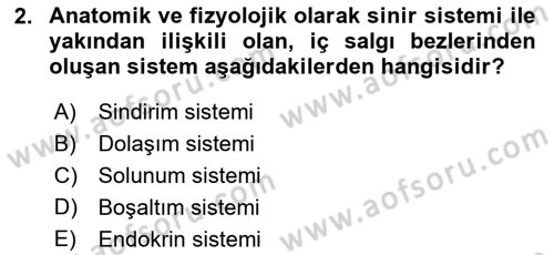 Bakım Elemanı Yetiştirme Ve Geliştirme 2 Dersi 2018 - 2019 Yılı (Final) Dönem Sonu Sınav Soruları 2. Soru