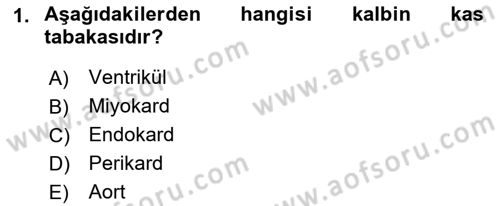 Bakım Elemanı Yetiştirme Ve Geliştirme 2 Dersi 2018 - 2019 Yılı Yaz Okulu Sınav Soruları 1. Soru