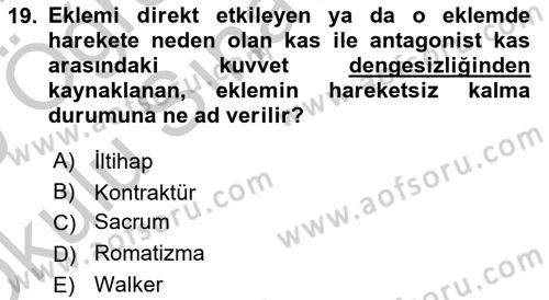 Bakım Elemanı Yetiştirme Ve Geliştirme 2 Dersi 2018 - 2019 Yılı Yaz Okulu Sınav Soruları 19. Soru