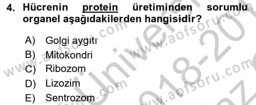 Bakım Elemanı Yetiştirme Ve Geliştirme 2 Dersi 2018 - 2019 Yılı Yaz Okulu Sınav Soruları 4. Soru