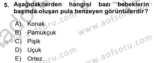 Bakım Elemanı Yetiştirme Ve Geliştirme 2 Dersi 2018 - 2019 Yılı Yaz Okulu Sınav Soruları 5. Soru