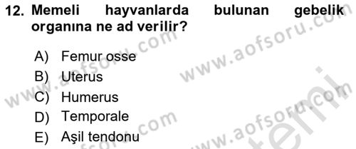 Bakım Elemanı Yetiştirme Ve Geliştirme 2 Dersi 2020 - 2021 Yılı Yaz Okulu Sınav Soruları 12. Soru