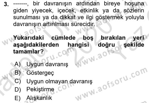 Bakım Elemanı Yetiştirme Ve Geliştirme 2 Dersi 2020 - 2021 Yılı Yaz Okulu Sınav Soruları 3. Soru