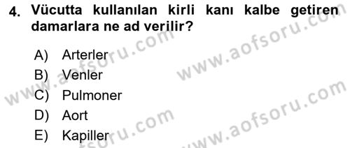 Bakım Elemanı Yetiştirme Ve Geliştirme 2 Dersi 2020 - 2021 Yılı Yaz Okulu Sınav Soruları 4. Soru