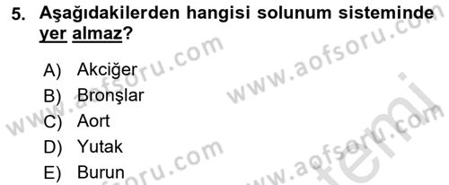 Bakım Elemanı Yetiştirme Ve Geliştirme 2 Dersi 2021 - 2022 Yılı (Vize) Ara Sınav Soruları 5. Soru