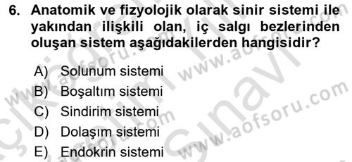 Bakım Elemanı Yetiştirme Ve Geliştirme 2 Dersi 2021 - 2022 Yılı (Vize) Ara Sınav Soruları 6. Soru