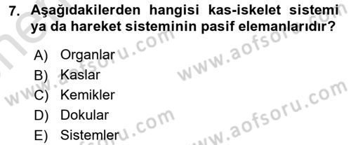 Bakım Elemanı Yetiştirme Ve Geliştirme 2 Dersi 2021 - 2022 Yılı (Vize) Ara Sınav Soruları 7. Soru