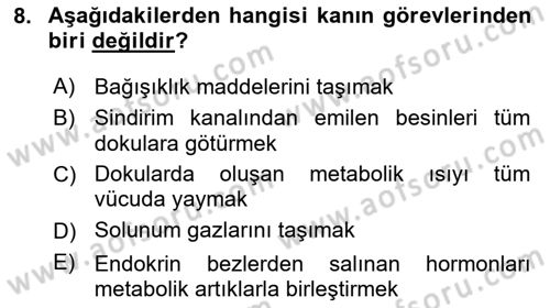 Bakım Elemanı Yetiştirme Ve Geliştirme 2 Dersi 2021 - 2022 Yılı (Vize) Ara Sınav Soruları 8. Soru