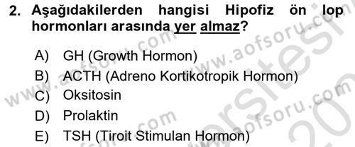 Bakım Elemanı Yetiştirme Ve Geliştirme 2 Dersi 2021 - 2022 Yılı (Final) Dönem Sonu Sınav Soruları 2. Soru