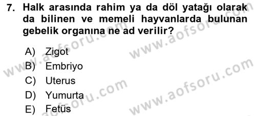 Bakım Elemanı Yetiştirme Ve Geliştirme 2 Dersi 2021 - 2022 Yılı (Final) Dönem Sonu Sınav Soruları 7. Soru