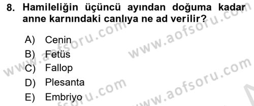 Bakım Elemanı Yetiştirme Ve Geliştirme 2 Dersi 2021 - 2022 Yılı (Final) Dönem Sonu Sınav Soruları 8. Soru