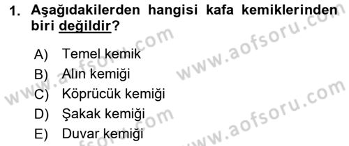 Bakım Elemanı Yetiştirme Ve Geliştirme 2 Dersi 2021 - 2022 Yılı Yaz Okulu Sınav Soruları 1. Soru