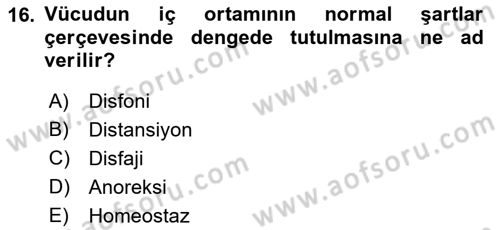 Bakım Elemanı Yetiştirme Ve Geliştirme 2 Dersi 2021 - 2022 Yılı Yaz Okulu Sınav Soruları 16. Soru