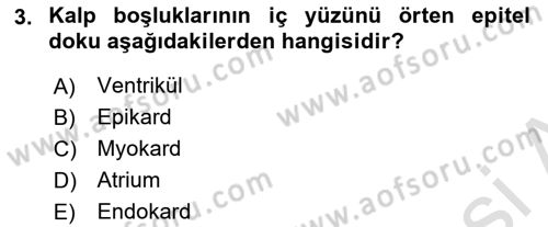 Bakım Elemanı Yetiştirme Ve Geliştirme 2 Dersi 2021 - 2022 Yılı Yaz Okulu Sınav Soruları 3. Soru