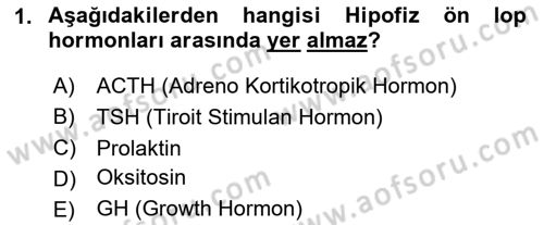 Bakım Elemanı Yetiştirme Ve Geliştirme 2 Dersi 2023 - 2024 Yılı (Vize) Ara Sınav Soruları 1. Soru