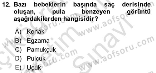 Bakım Elemanı Yetiştirme Ve Geliştirme 2 Dersi 2023 - 2024 Yılı (Vize) Ara Sınav Soruları 12. Soru