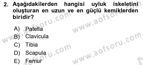 Bakım Elemanı Yetiştirme Ve Geliştirme 2 Dersi 2023 - 2024 Yılı (Vize) Ara Sınav Soruları 2. Soru