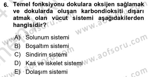 Bakım Elemanı Yetiştirme Ve Geliştirme 2 Dersi 2023 - 2024 Yılı (Vize) Ara Sınav Soruları 6. Soru