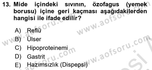 Bakım Elemanı Yetiştirme Ve Geliştirme 2 Dersi 2023 - 2024 Yılı (Final) Dönem Sonu Sınav Soruları 13. Soru