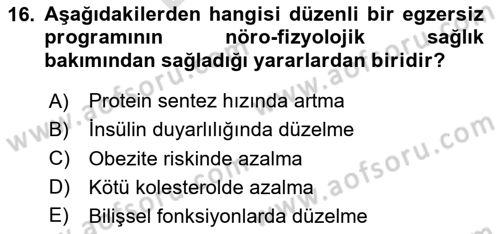 Bakım Elemanı Yetiştirme Ve Geliştirme 2 Dersi 2023 - 2024 Yılı (Final) Dönem Sonu Sınav Soruları 16. Soru