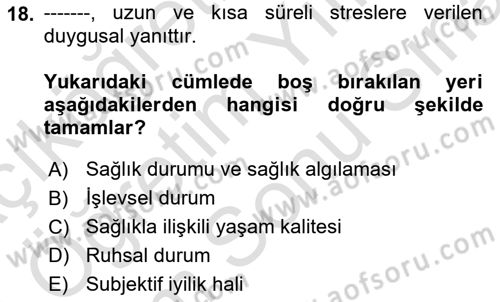 Bakım Elemanı Yetiştirme Ve Geliştirme 2 Dersi 2023 - 2024 Yılı (Final) Dönem Sonu Sınav Soruları 18. Soru
