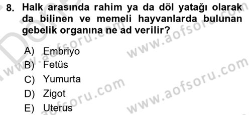 Bakım Elemanı Yetiştirme Ve Geliştirme 2 Dersi 2023 - 2024 Yılı (Final) Dönem Sonu Sınav Soruları 8. Soru