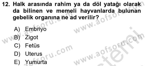 Bakım Elemanı Yetiştirme Ve Geliştirme 2 Dersi 2023 - 2024 Yılı Yaz Okulu Sınav Soruları 12. Soru